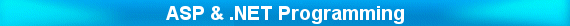 ASP & .NET Programming