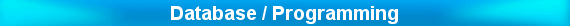 Database / Programming Services