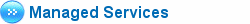 Security Vulnerability Assessment
Remote Backup
Remote Firewall
Web Site Monitoring