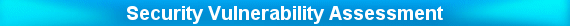 Security Vulnerability Assessment