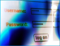 Security Assessment